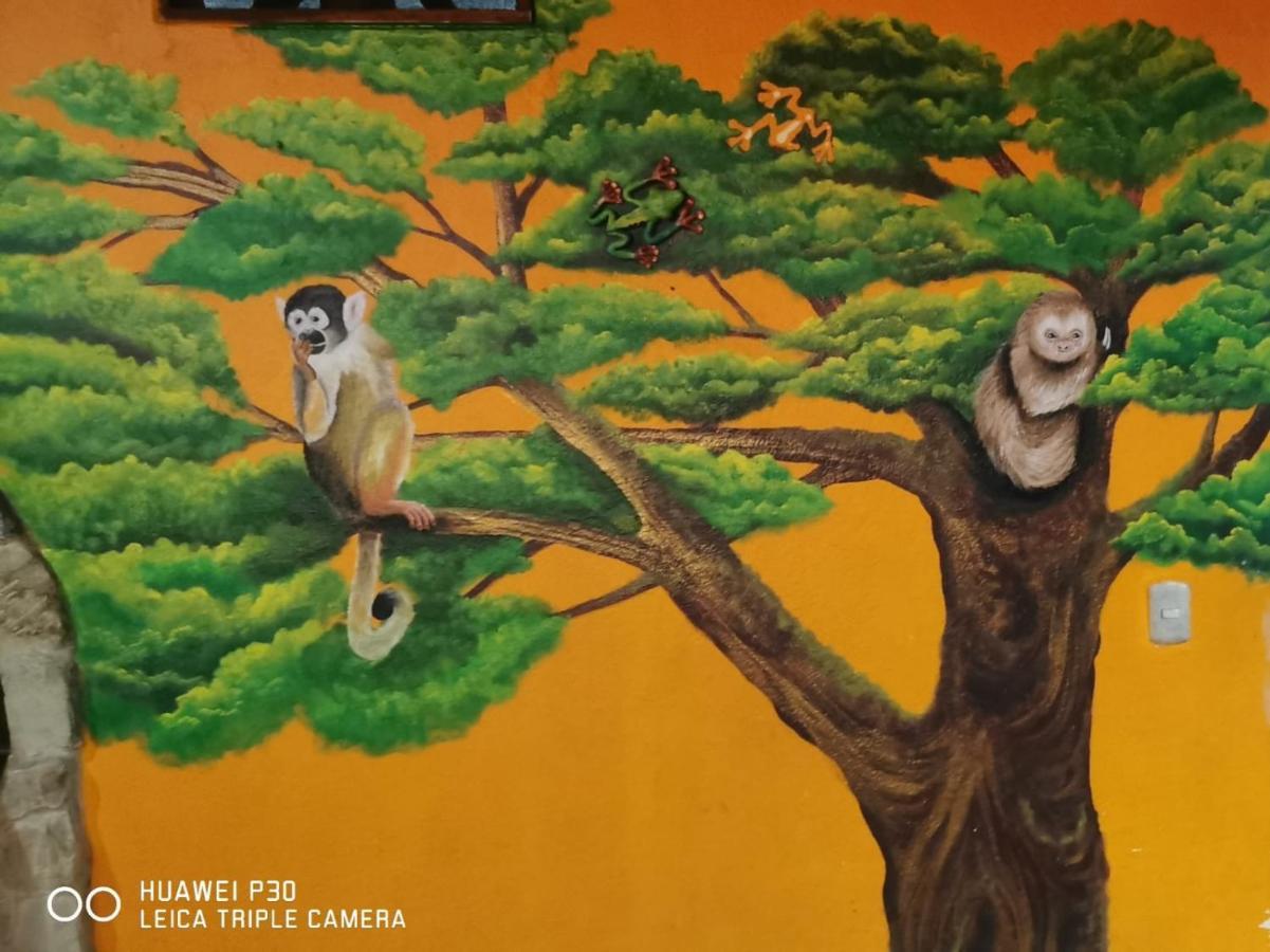 Costa Linda Art Hostel 마누엘안토니오 외부 사진