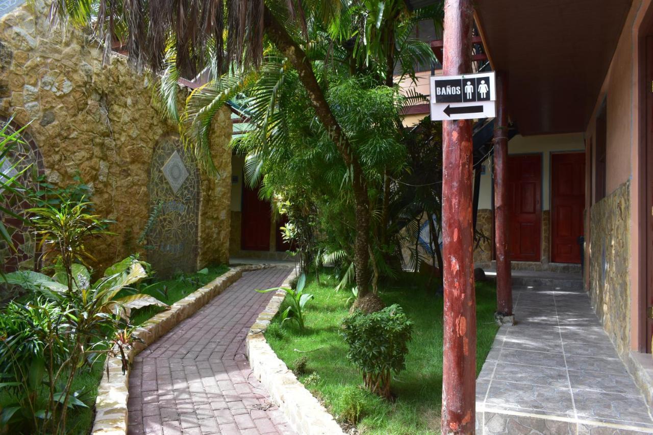 Costa Linda Art Hostel 마누엘안토니오 외부 사진